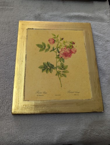 Vintage bild rosa rapa - vintage,