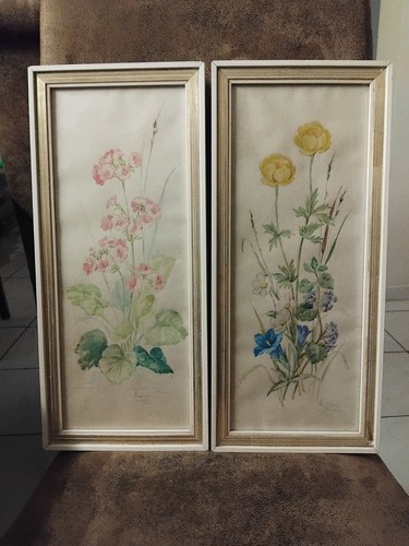 Botanische wandbilder - botanische,
