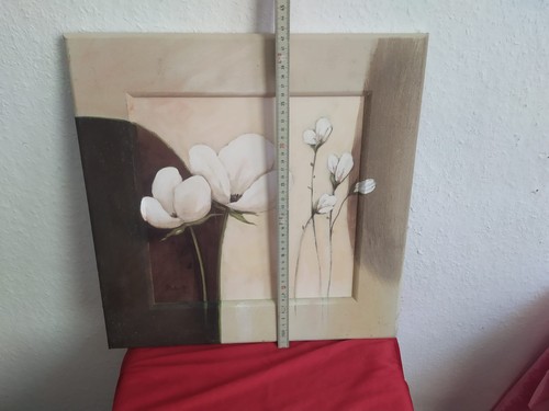 Blumenbild magnolien blüten - magnolien,