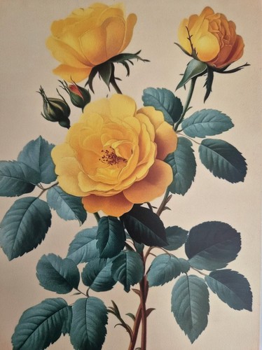 Wandbild blechschild rosen - wandbild-blechschild,