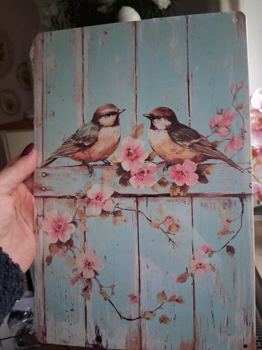Bild vögel mit - vögel, blumen