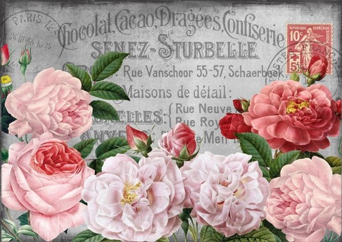 BÜGELBILD-Vintage-Shabby-Nost