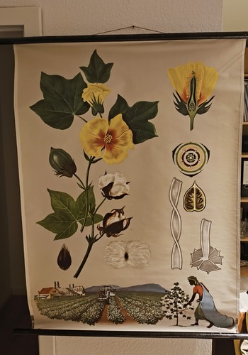 Schulkarte wand bild alt - wand,