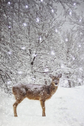 Led bild reh winterlandschaft - led,